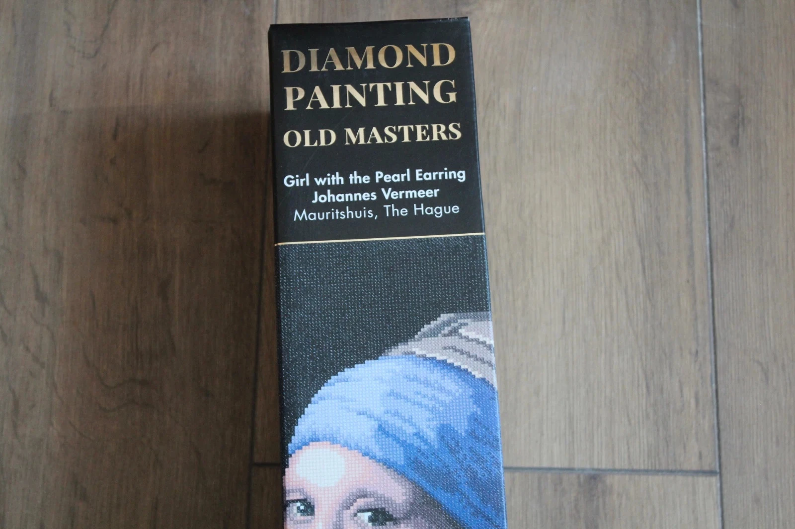 Kit Diamond Painting "Old Masters" La Jeune Fille à la Perle – photo 5